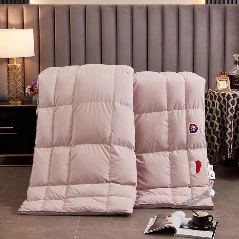 Home And Hotel Luxury Soft Warm White Goose Down Comforter Down Quilt Duvet for All Seasons